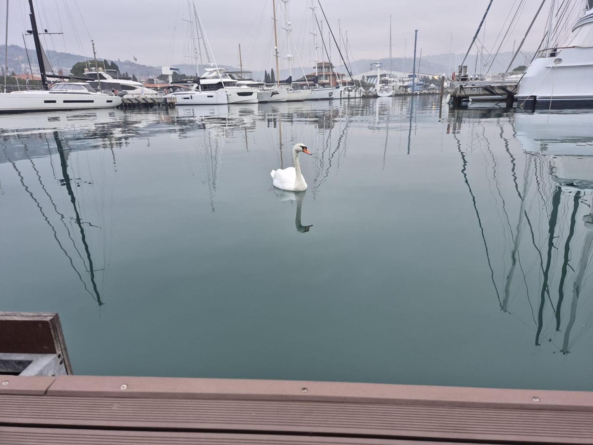 Floating Sea House Aurora Villa Portorož Exterior foto